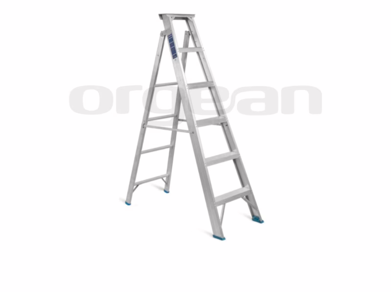 Dual Purpose Aluminium Ladder